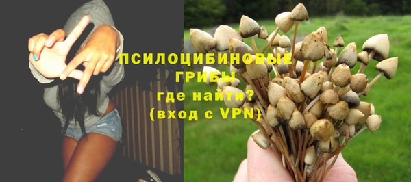 прущие грибы Каменка