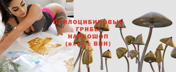 прущие грибы Каменка
