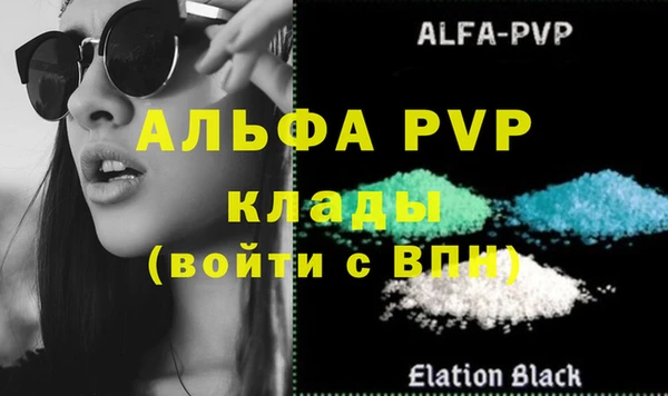 прущие грибы Каменка