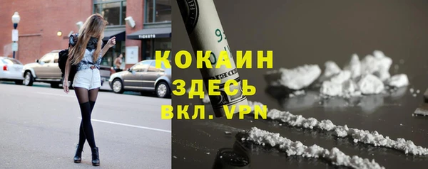 прущие грибы Каменка