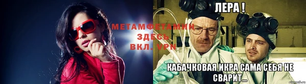 прущие грибы Каменка
