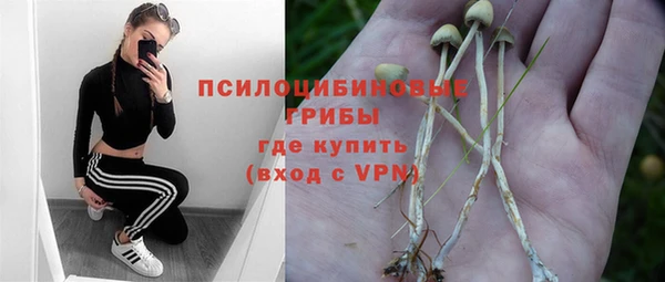 Альфа ПВП Каменногорск