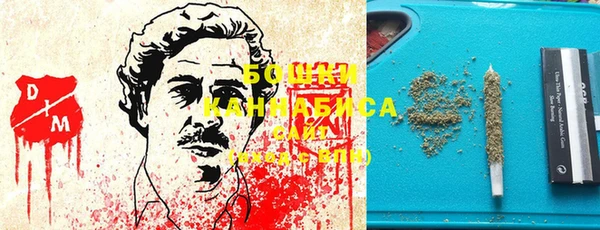 прущие грибы Каменка