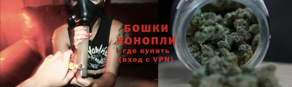 прущие грибы Каменка