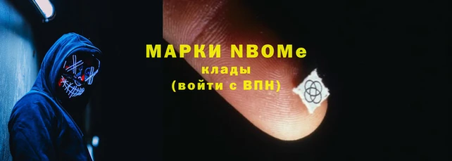 прущие грибы Каменка