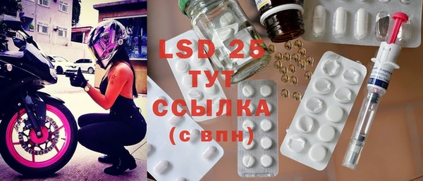 прущие грибы Каменка