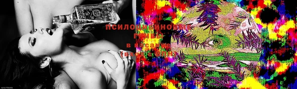 прущие грибы Каменка