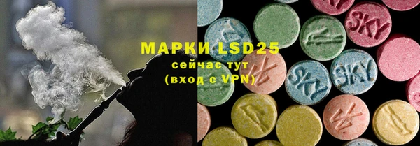 прущие грибы Каменка