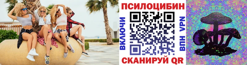 Псилоцибиновые грибы Psilocybe  Купить  Дивногорск 